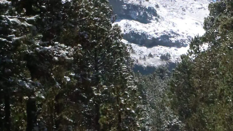 Nevada en el Cofre de Perote